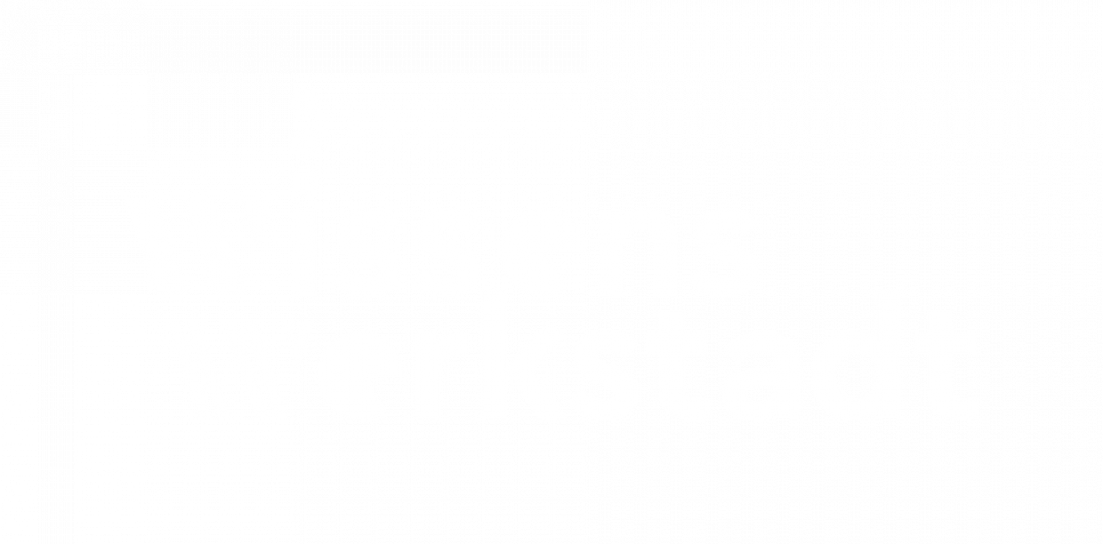 Logo Wissenswerkstadt weiß