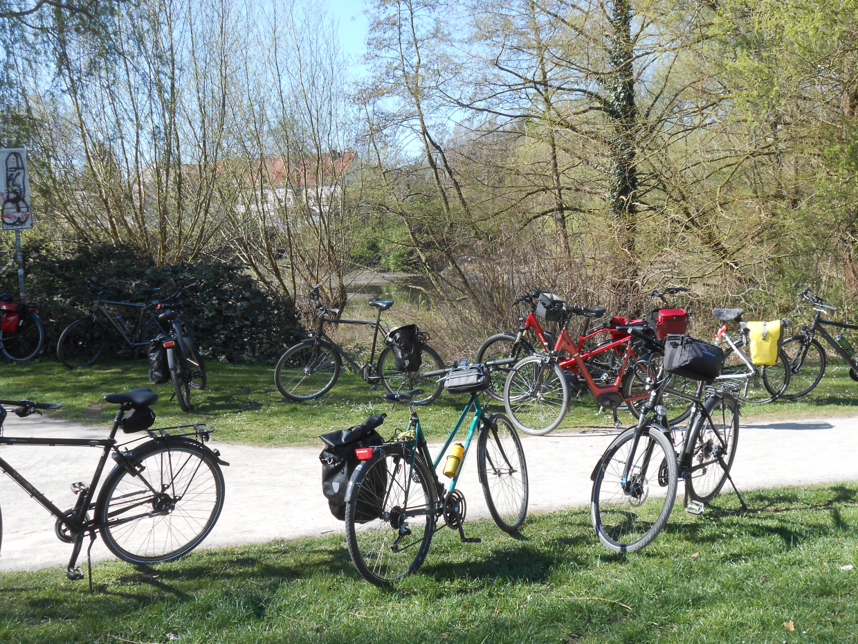 11 Fahrräder stehen im Frühling am Radweg.