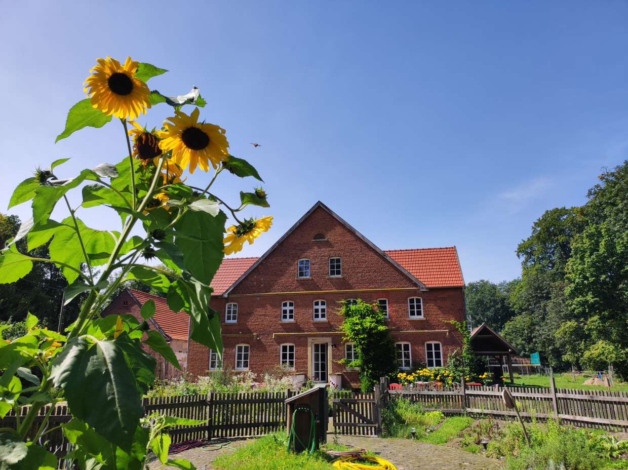 Giebelfront des Klima- und Umweltbildungszentrums Hof Ramsbrock mit Garten und Sonnenblume im Sommer