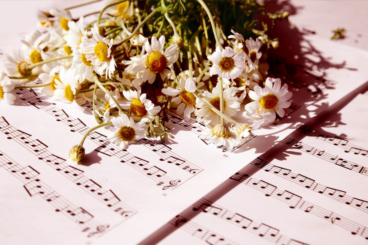 Blumen auf Noten