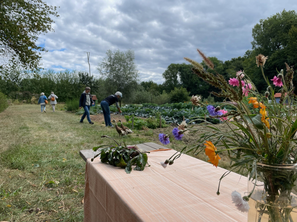 Im Vordergrund steht ein Biergartentisch mit Wildblumenstrauß und dahinter sieht man Gemüsebeete, ein Laufentenpaar und Besucher.