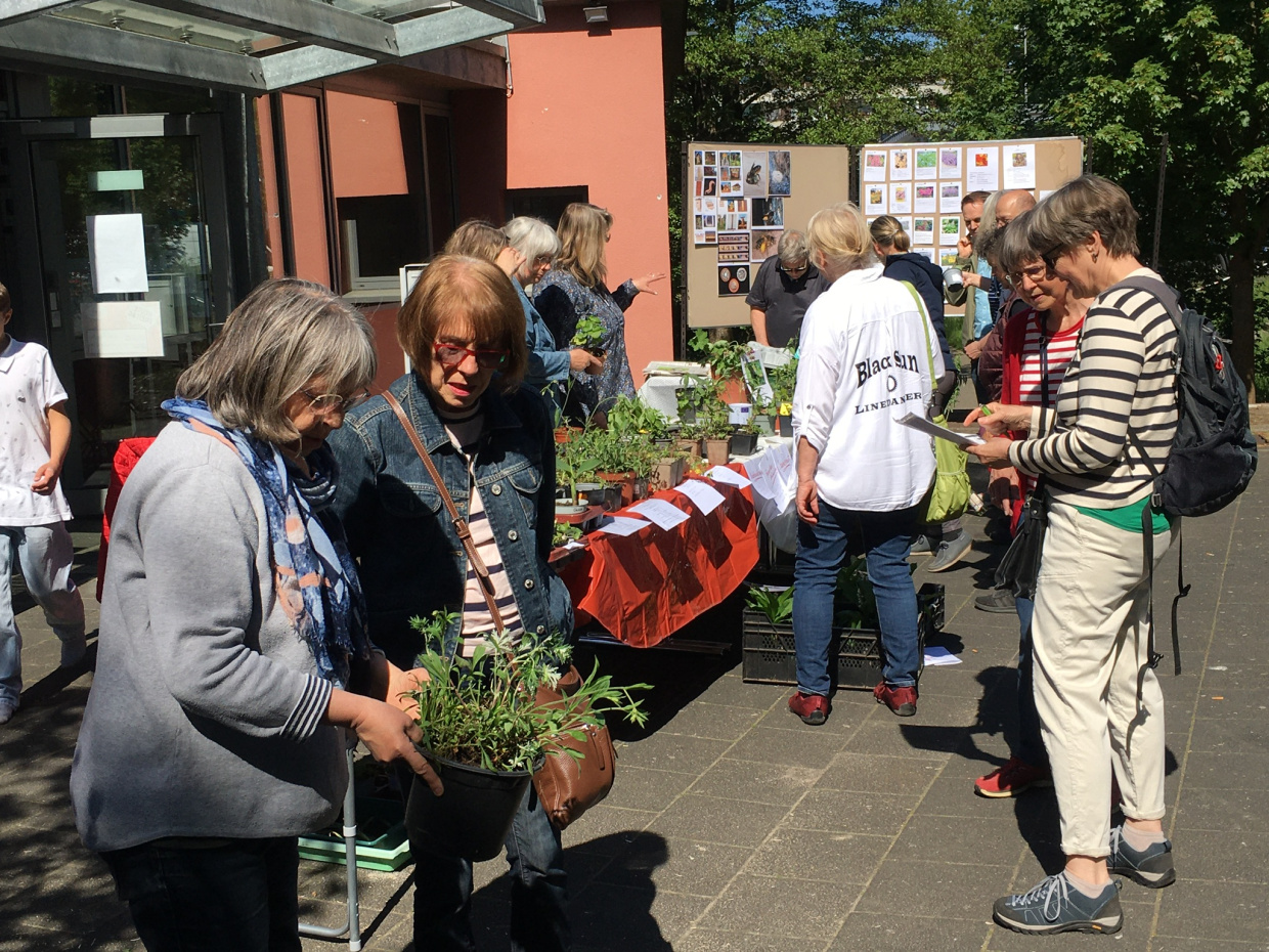 Viele Besucher:innen tauschen sich an den Ständen über die Pflanzensortimente aus.