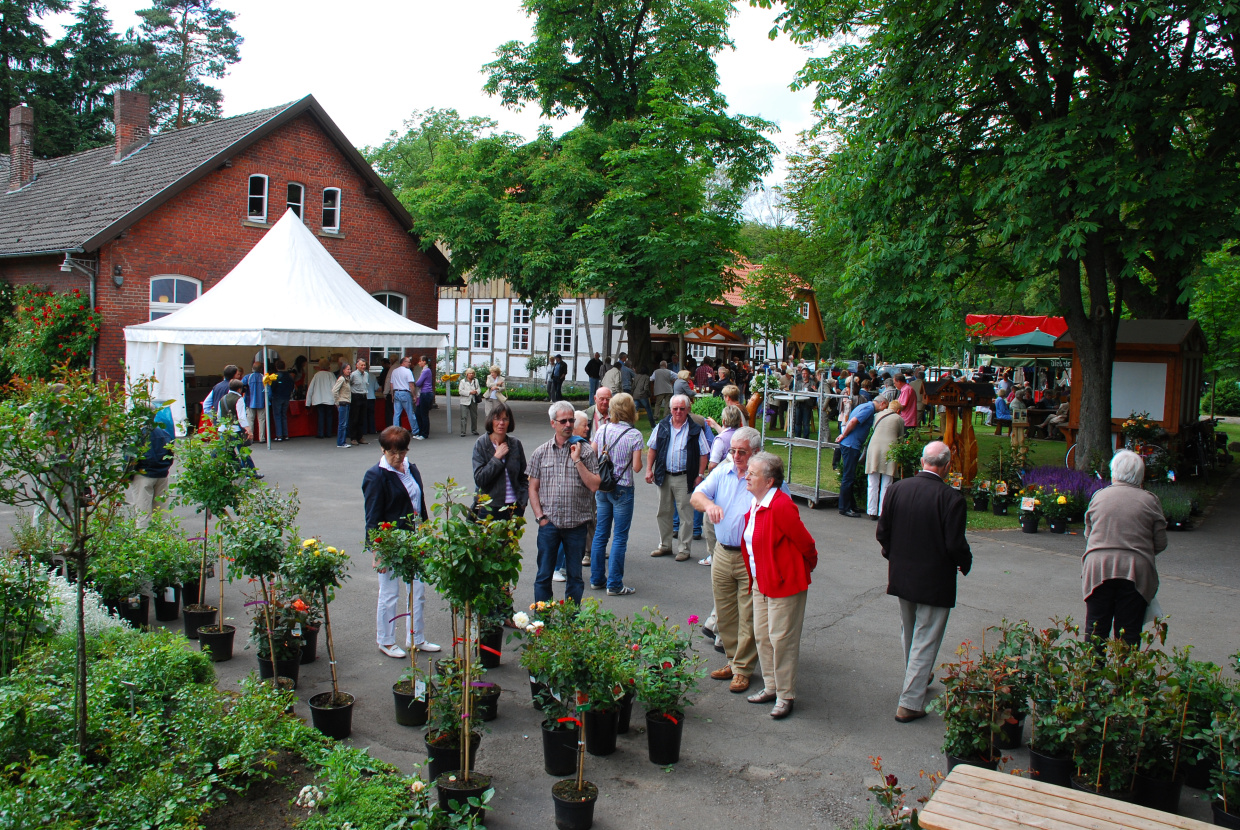 Viele Besucher bestaunen das Pflanzensortiment am Rosentag