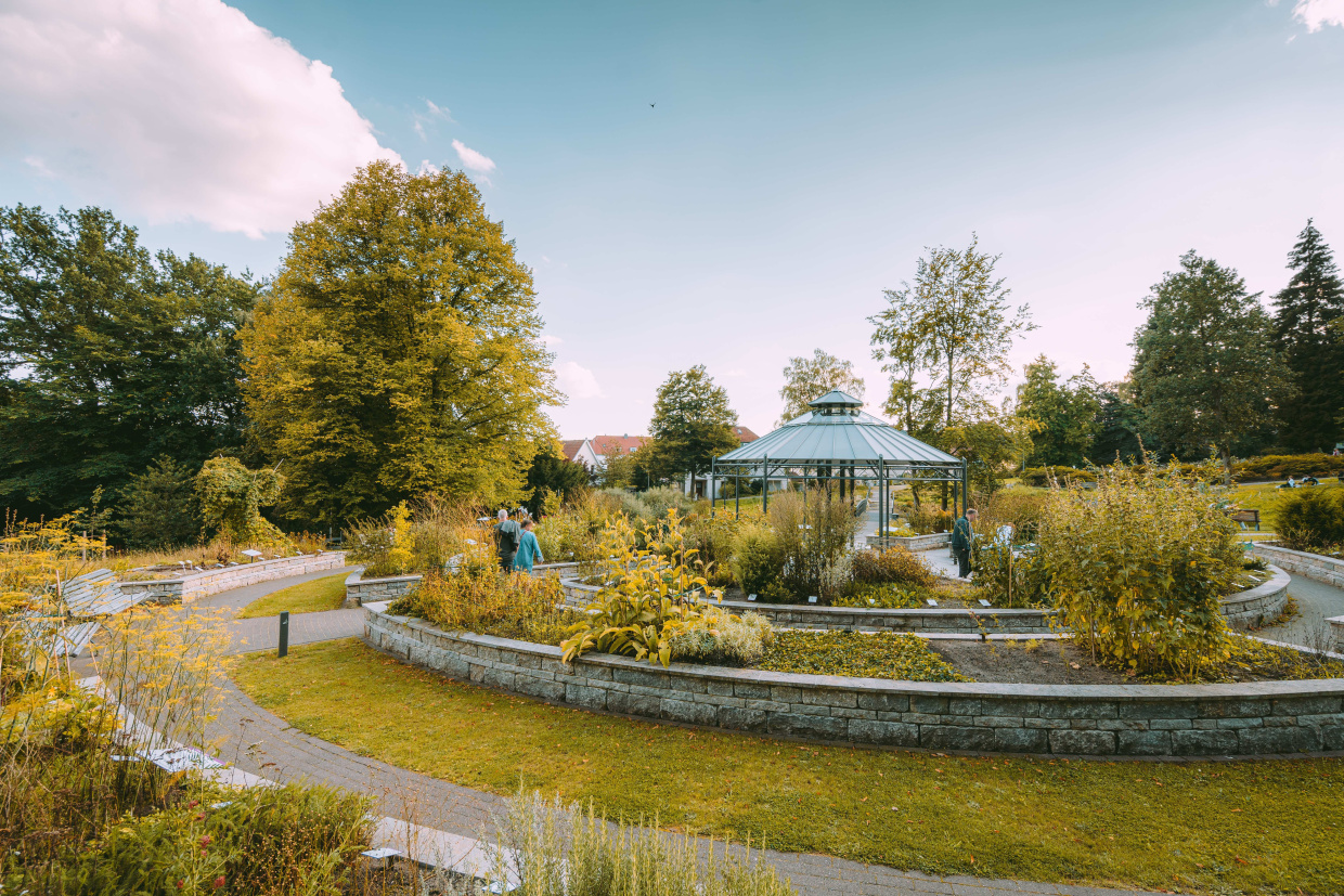 Bench Fir Garden Grass Nature Outdoors Park Person Scenery Tree