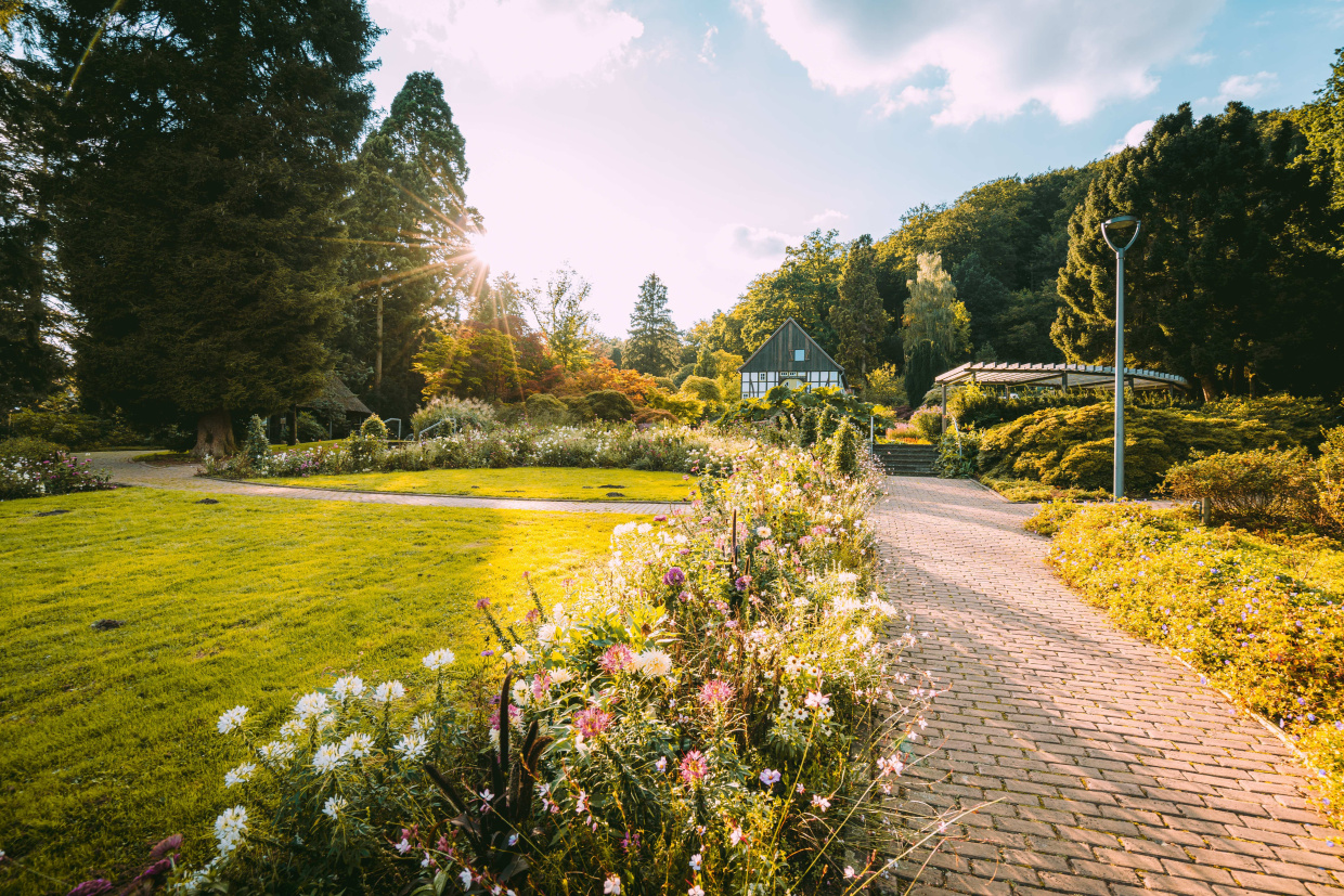 Fir Garden Grass Nature Outdoors Park Path Road Scenery Tree Walkway