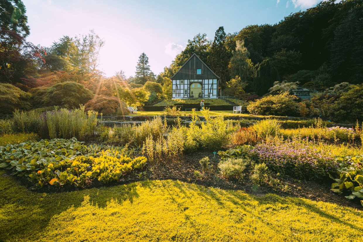 Bielefeld Marketing | Tim Fröhlich Cottage Fir Garden Grass House Housing Nature Outdoors Park Person Tree Vegetation