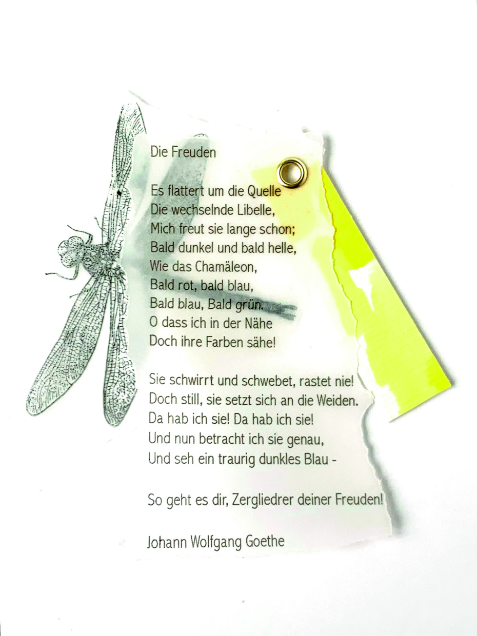 ein Gedichtanhänger der Bielefelder Künstlerin Franziska Zobel zeigt eine Libelle mit Text und Farbe