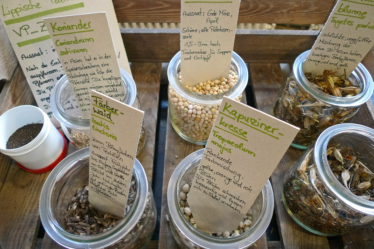Blick auf mehrere Gläser mit unterschiedlichem Saatgut und Beschreibungen dazu.