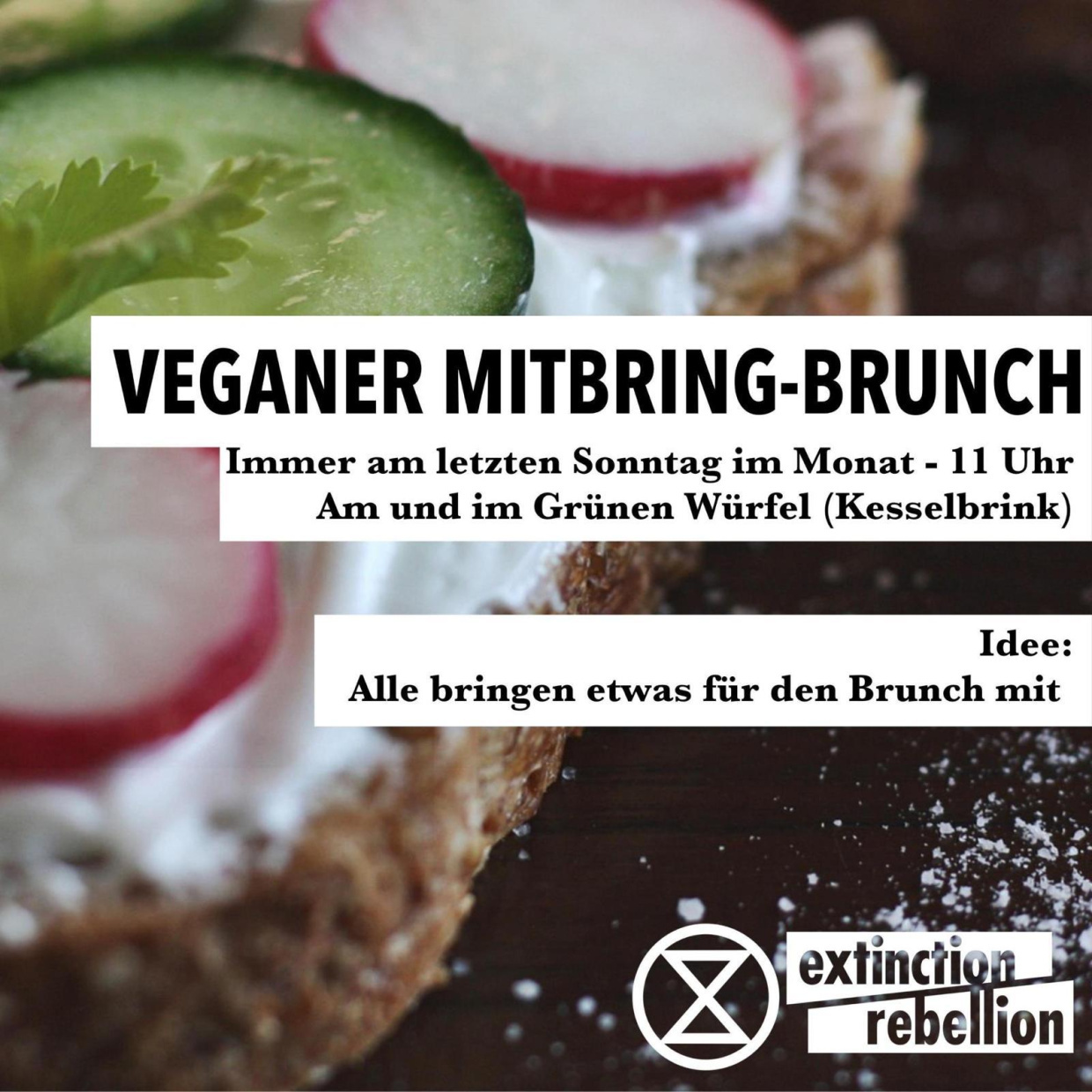 Flyer für die Veranstaltung. Jeden letzen Sonntag im Monat im grünen Würfel 