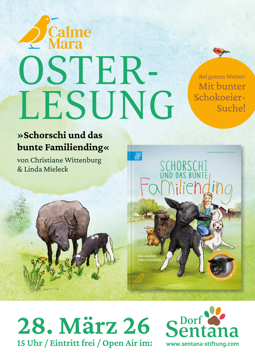 Ein mit Illustrationen aus dem Buch gestaltetes Plakat zur CalmeMara Osterlesung im Dorf Sentana 