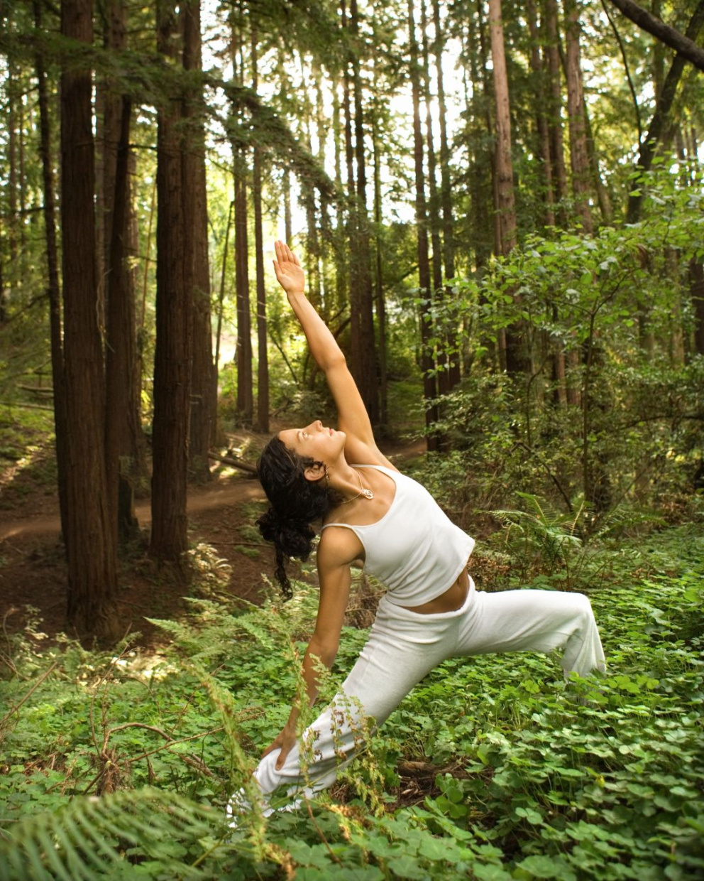 Im Teutoburger Wald Yoga auf einer Waldlichtung