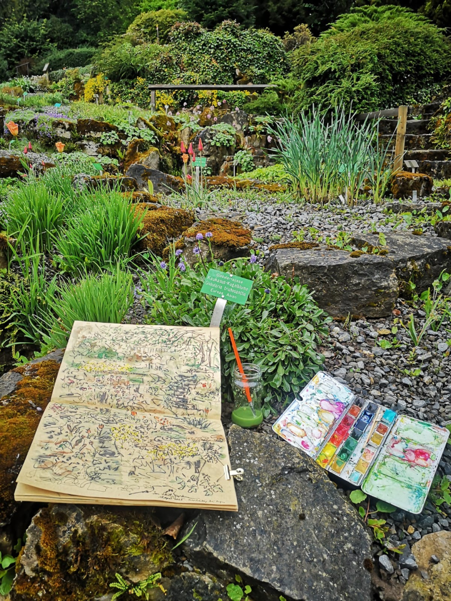Gezeichnete Blumen,  Kunstmaterialien im Botanischen Garten.