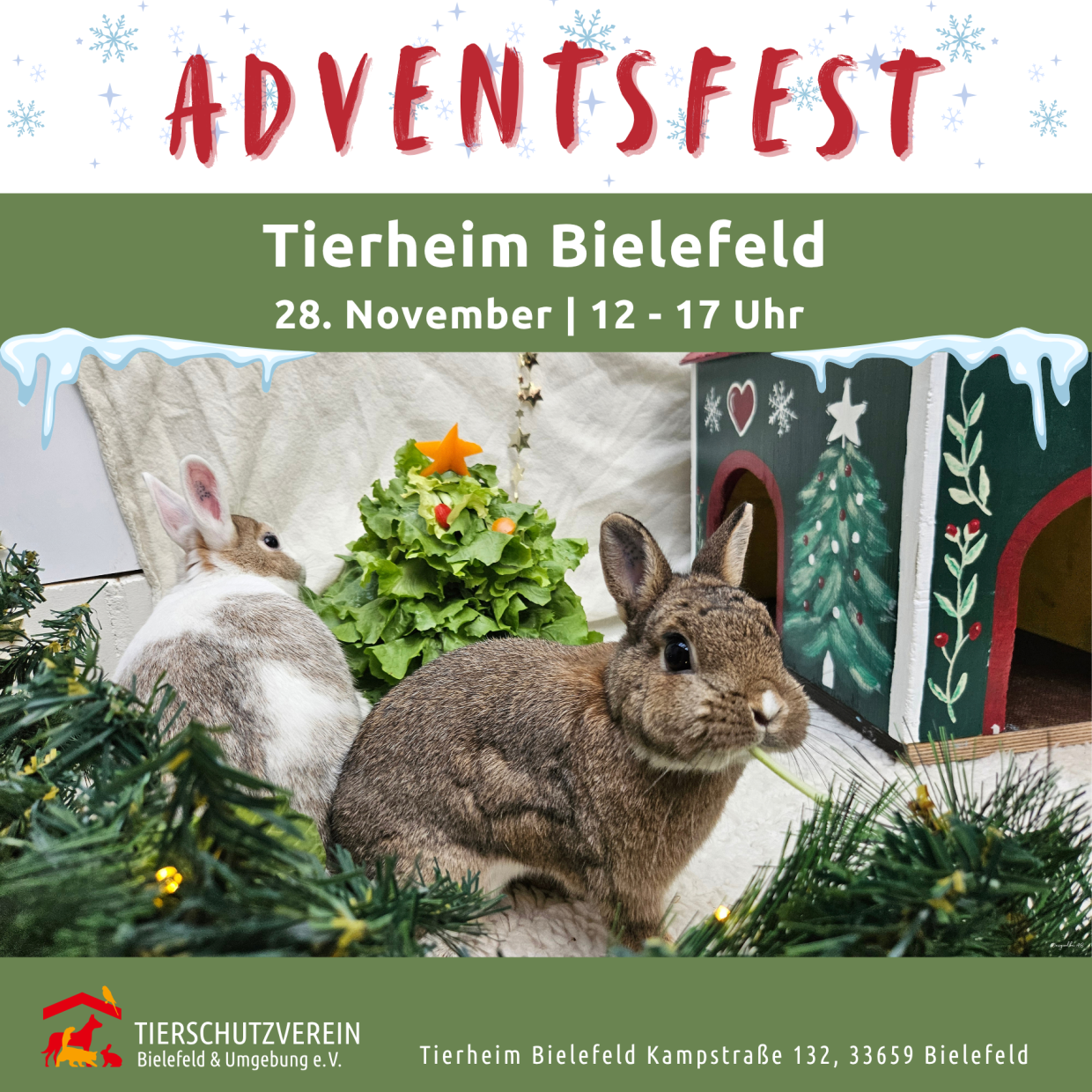 Plakat für das Adventsfest im Tierheim Bielefeld mit zwei Kaninchen vor weihnachtlicher Dekoration.