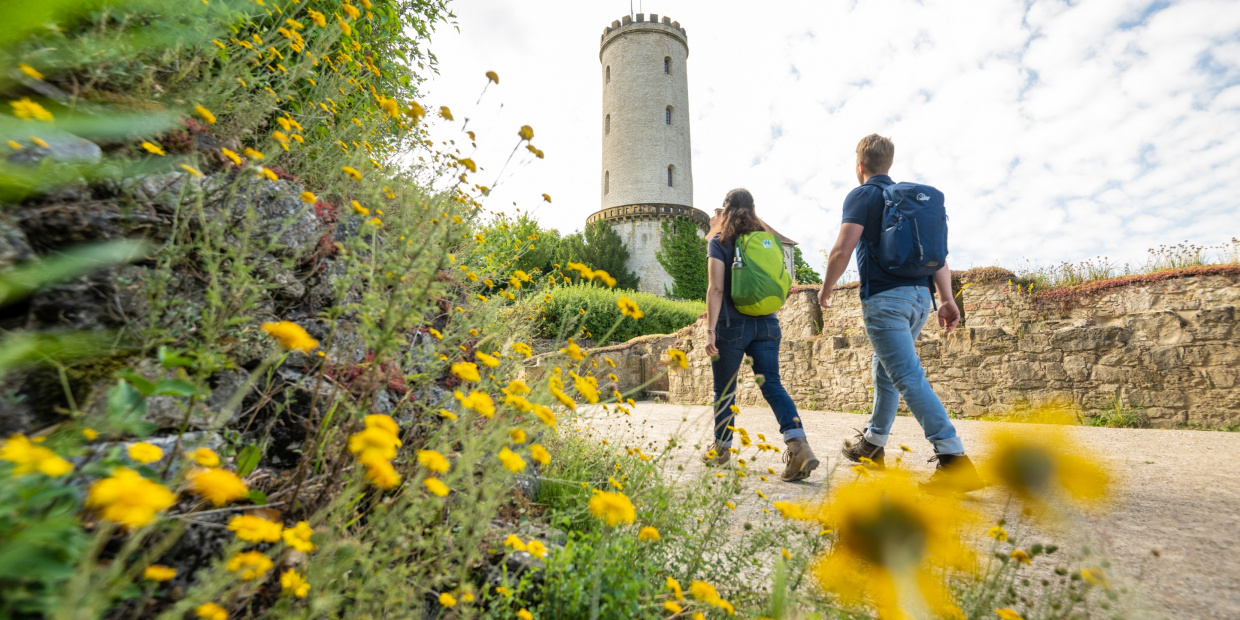 (c) Teutoburger Wald Tourismus | D. Ketz Wandern zum Sparrenburgturm