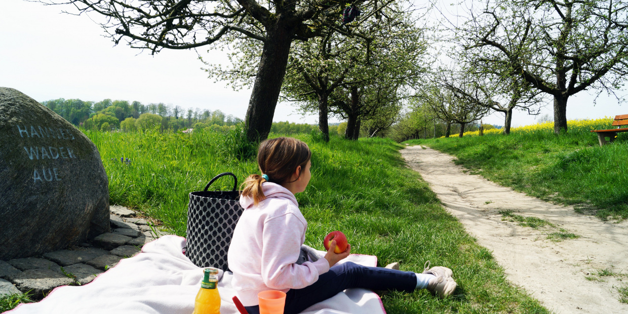 Picknick auf der Hannes Wader Aue