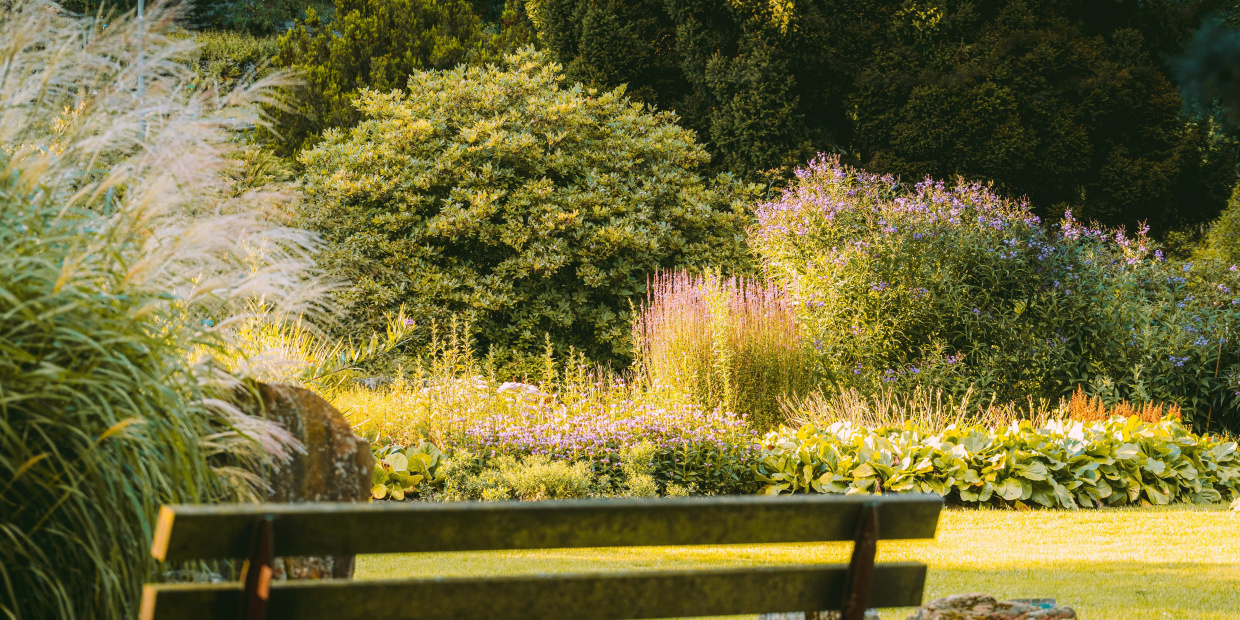 Bench Furniture Garden Grass Nature Outdoors Park Vegetation