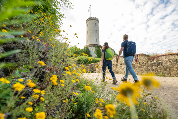 Wandern zum Sparrenburgturm