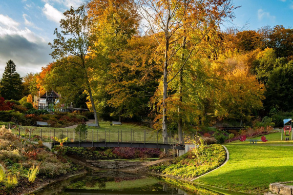 Blick auf das Bachbett im Botanischen Garten