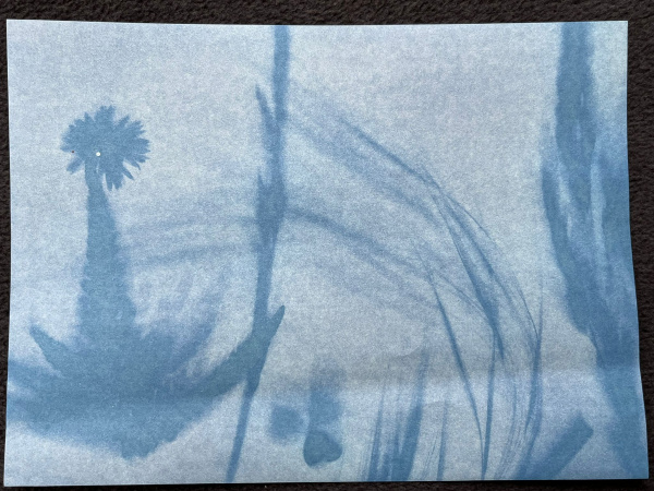 Ein Beispielbild aus dem Workshop, genannt "Sommerwiese" Ein Beispielbild aus dem Workshop, genannt "Sommerwiese"