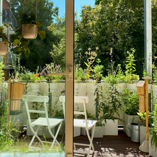 Katrin Witteks Wildpflanzenbalkon
