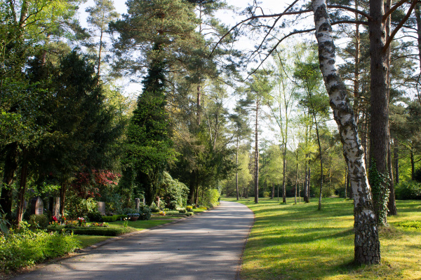 Waldfriedhof Sennestadt Links sind ein paar Gräber zu sehen, rechts eine große Rasenfläche entlang des Weges mit vielen Bäumen.