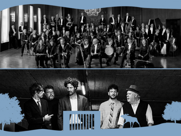 Web Web Max Herre Bielefelder Philharmoniker
