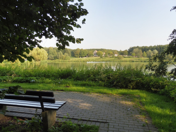 Blick auf Bank und Obersee