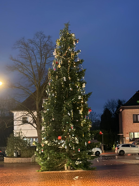Weihnachtsbaum mit Lichterketten auf Marktplatz Jöllenbeck in der Abenddämmerung.