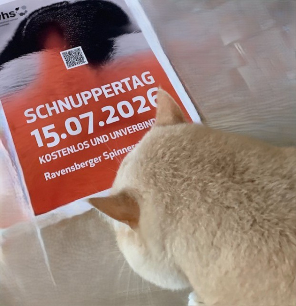 Schnuppertag VHS