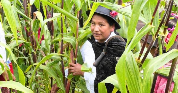 Eine Bäuerin in Peru bei der Arbeit auf dem Feld