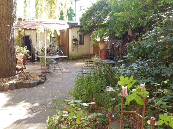 Das Bild zeigt einen ruhigen, von Bäumen und Sträuchern umgebenen Hinterhofgarten mit einem Tisch.