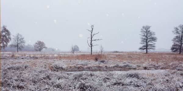 Großes Torfmoor Winterlandschaft