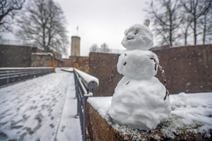 Bielefelder Schneemann-Meisterschaft